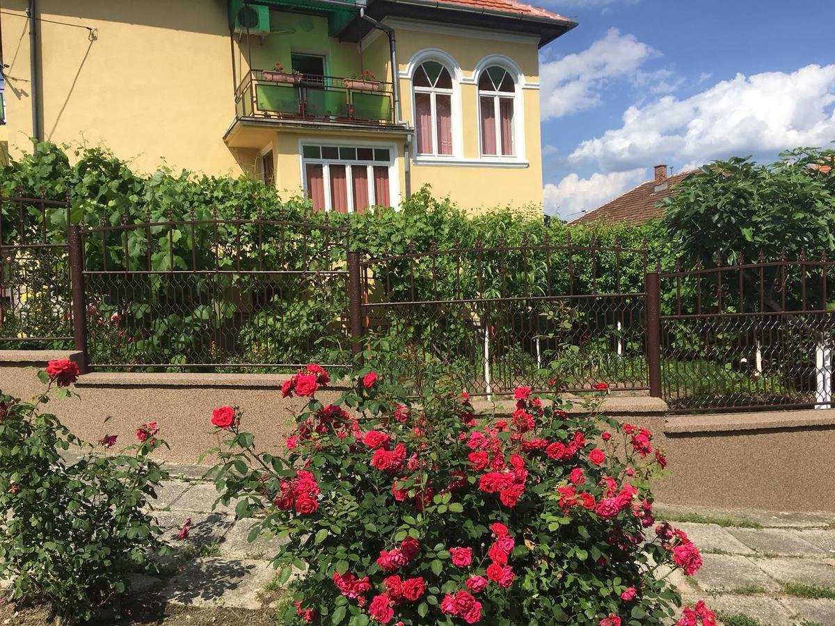 Vila Arjana Orşova Dış mekan fotoğraf